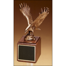 Finely Details Antique Bronze Eagle Casting