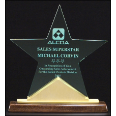 Constellation Star Acrylic Award