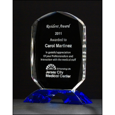 Cobalt Clear Award