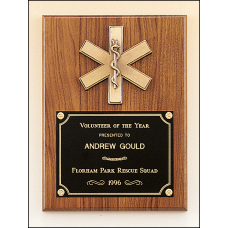 American Walnut Plaque with Emergency Medical Casting