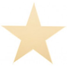 GOLD ALUM STAR 5"  