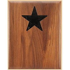 STAR AREA RECESSED BLK 9 X 12 22PCS CASE 