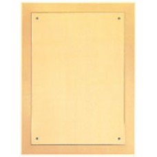 GD EMBOSSED BK PLATE 9X12 12PC CS 